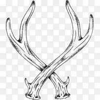 鹿茸角线艺术麋鹿角