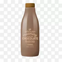 巧克力奶油有机食品巧克力棒-牛奶飞溅