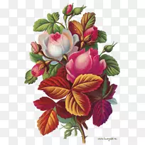 生日祝福贺卡节日动画手绘