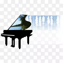 巴西钢琴调音乐器.钢琴