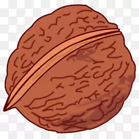 东方黑核桃英国胡桃剪贴画