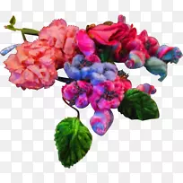 切花，花瓣，粉红色，紫罗兰，薄荷花