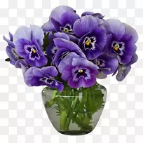 花紫罗兰花瓶
