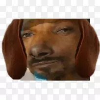 Snoop Dogg Dachshund爱尔兰赛特犬Vizsla鼻子-窥探犬