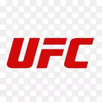 UFC 205：阿尔瓦雷斯对阵麦格雷戈t恤锐步拳击混合武术格斗