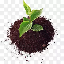 土壤农业肥料农药有机农业土壤