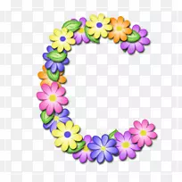 花字母表字母音节元音