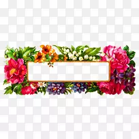 花卉画框标签数字图像.花框