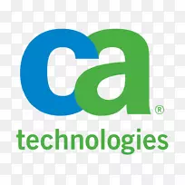 CA技术计算机软件信息技术纳斯达克：CA-海得拉巴