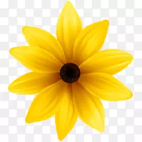 花黄色蓝色剪贴画-黄色花朵