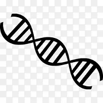 医学生物学DNA遗传学