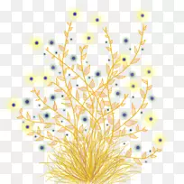 花卉摄影画.花冠