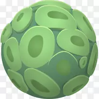 绿藻植物细胞-有机