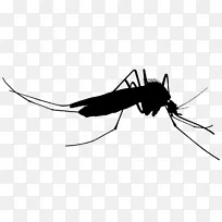 蚊虫剪影剪贴画-蚊子