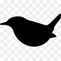 鸟类飞行鹦鹉喙轮廓-鸟类轮廓