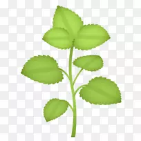 表情符号植物草本植物SMS WhatsApp-草药