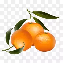 橘子夹艺术.橘子果