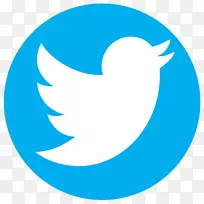 社交媒体iPhone组织标志-Twitter