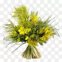 国际妇女节-含羞草国际妇女节