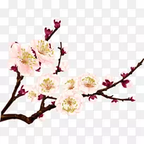 梅花画片艺术-花