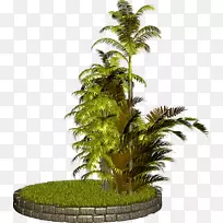 乔木植物光景剪贴画-古鲁矮人