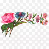 玫瑰花设计剪贴画-花坛