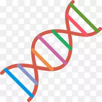 签名无符号危险剪辑艺术-dna