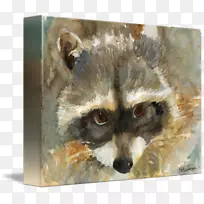 浣熊红狐画须水彩画动物