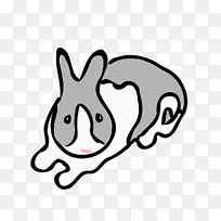 国内野兔白兔线艺术-兔