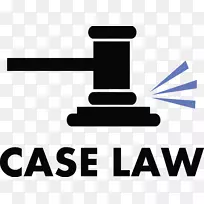 判例法、律师法、法院法