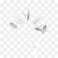 黑白单色摄影花卉首饰.玉兰