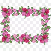 继母生日祝福幸福-粉红色花边