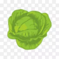 卷心菜原料摄影植物艺术剪贴画-卷心菜