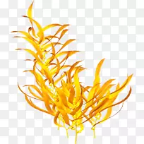 植物水下海洋剪贴画-睡莲