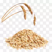 燕麦早餐谷类食品玉米片穗燕麦