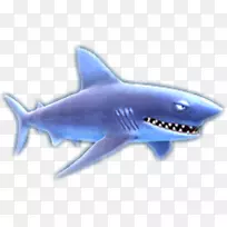 鲨鱼嘴饥饿鲨鱼进化长鳍鲨