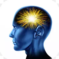 人脑-人类头脑智人-头脑