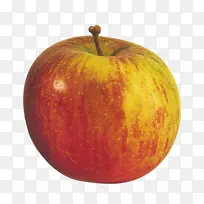 苹果富士麦金托什果园-富士
