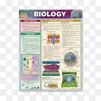 生物学：生物学学习的基本原理