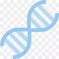 DNA计算机图标扁平设计核酸双螺旋生物学