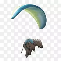 空中运动降落伞滑翔伞风帆运动-大象主题