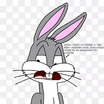 兔复活节兔卡通兔