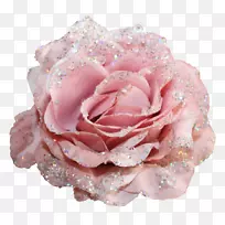 灯心草玫瑰，花朵闪闪发亮的纺织布