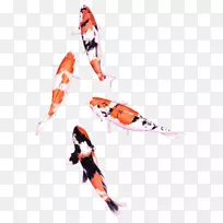 锦鲤画水彩画鱼彩铅笔