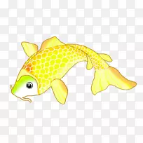鱼类海产动物黄色动物-锦鲤