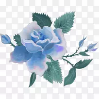 向心叶玫瑰切花蓝玫瑰蓝花