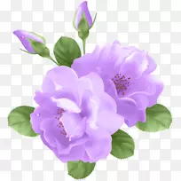 玫瑰紫花剪贴画-紫花