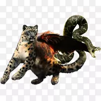 豹猫陆生动物野生动物嵌合体