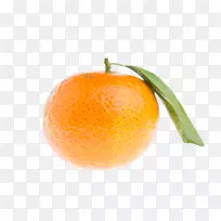 橘子，桔子，苦橙，朗浦尔，橘子