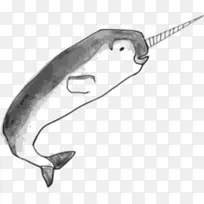 独角鲸齿鲸绘画剪贴画.独角鲸